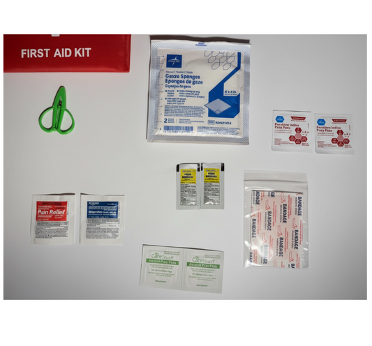 Mini First Aid Kit